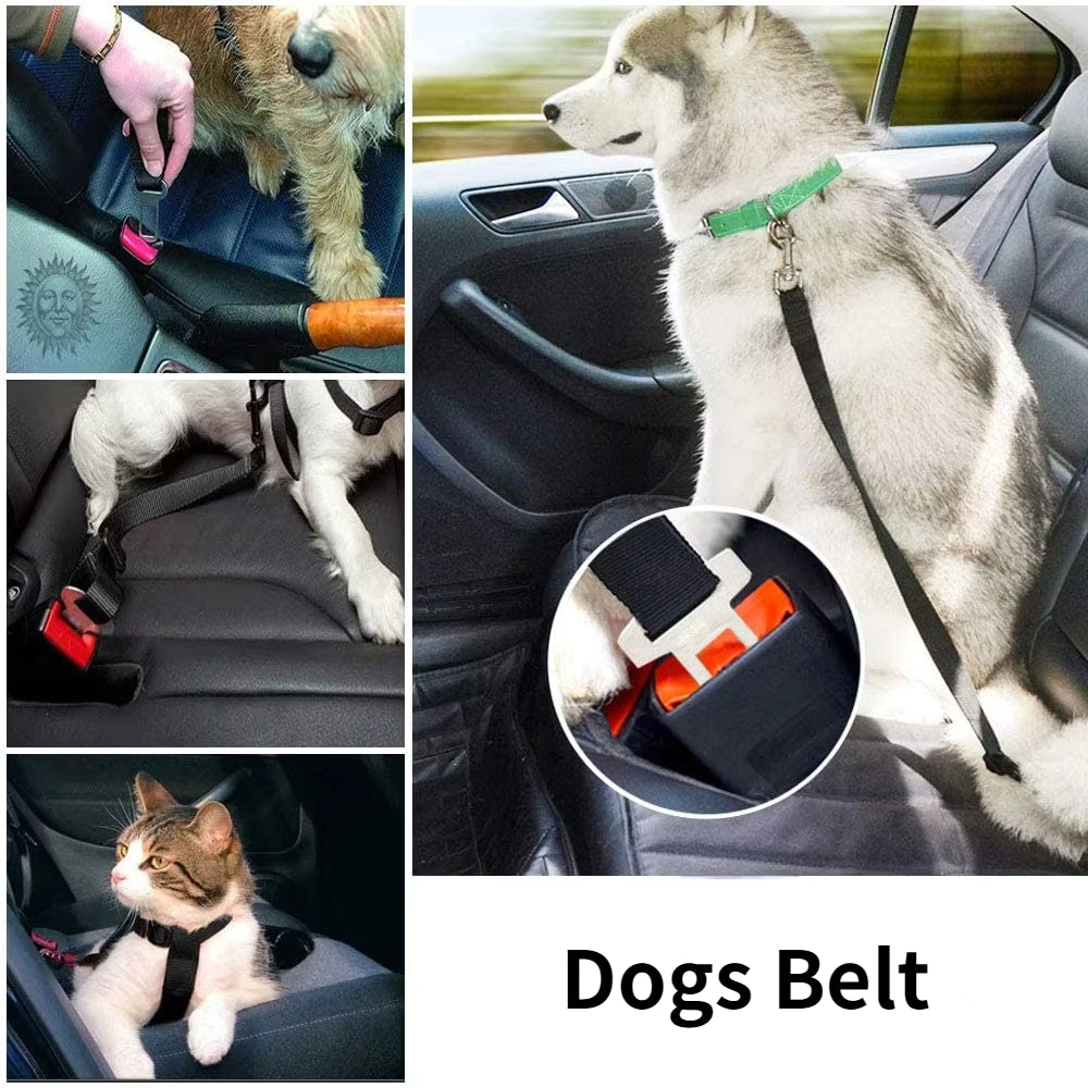 Verstellbarer Haustier-Autositzgurt für Katzen und Hunde
